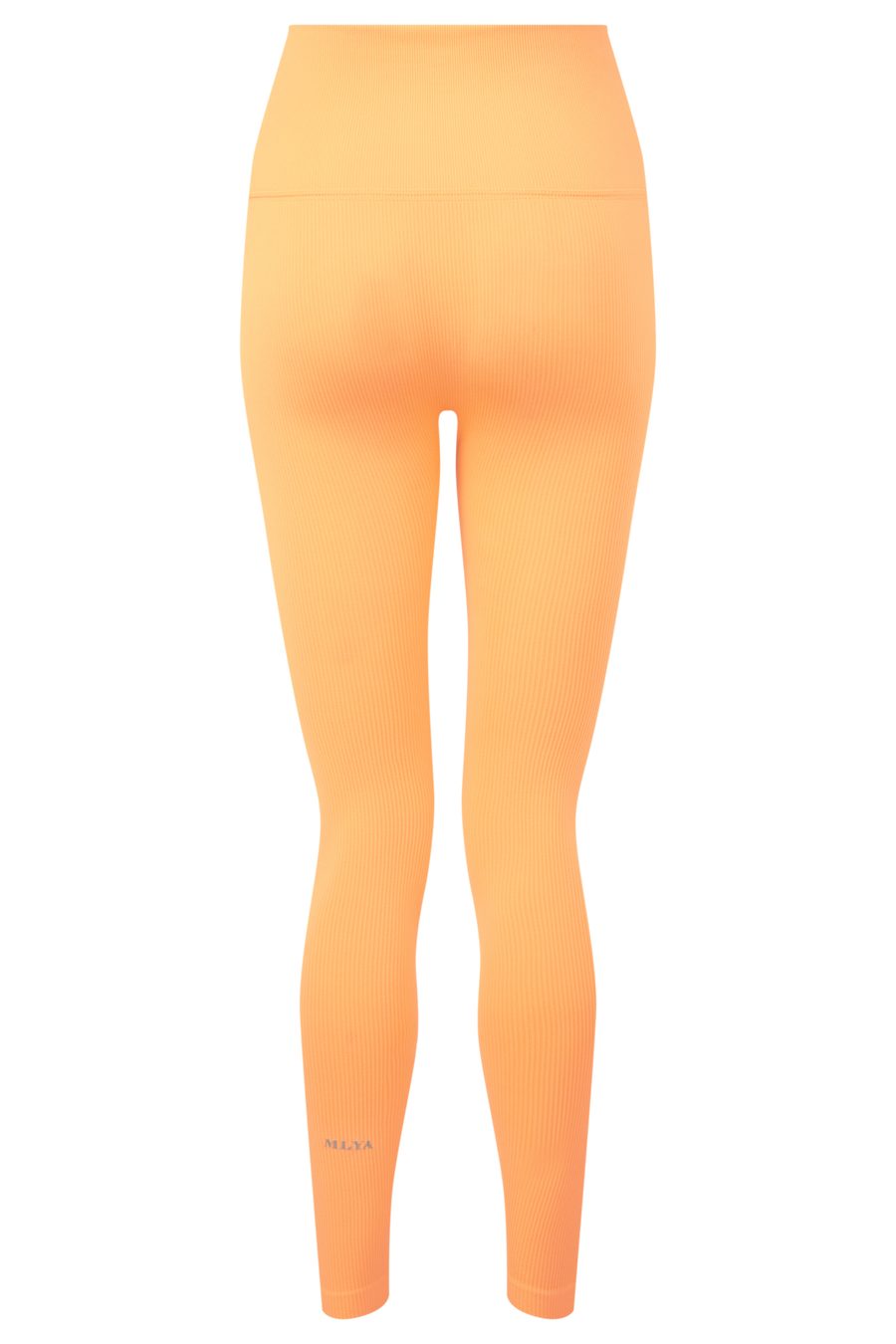 BELLA LEGGING